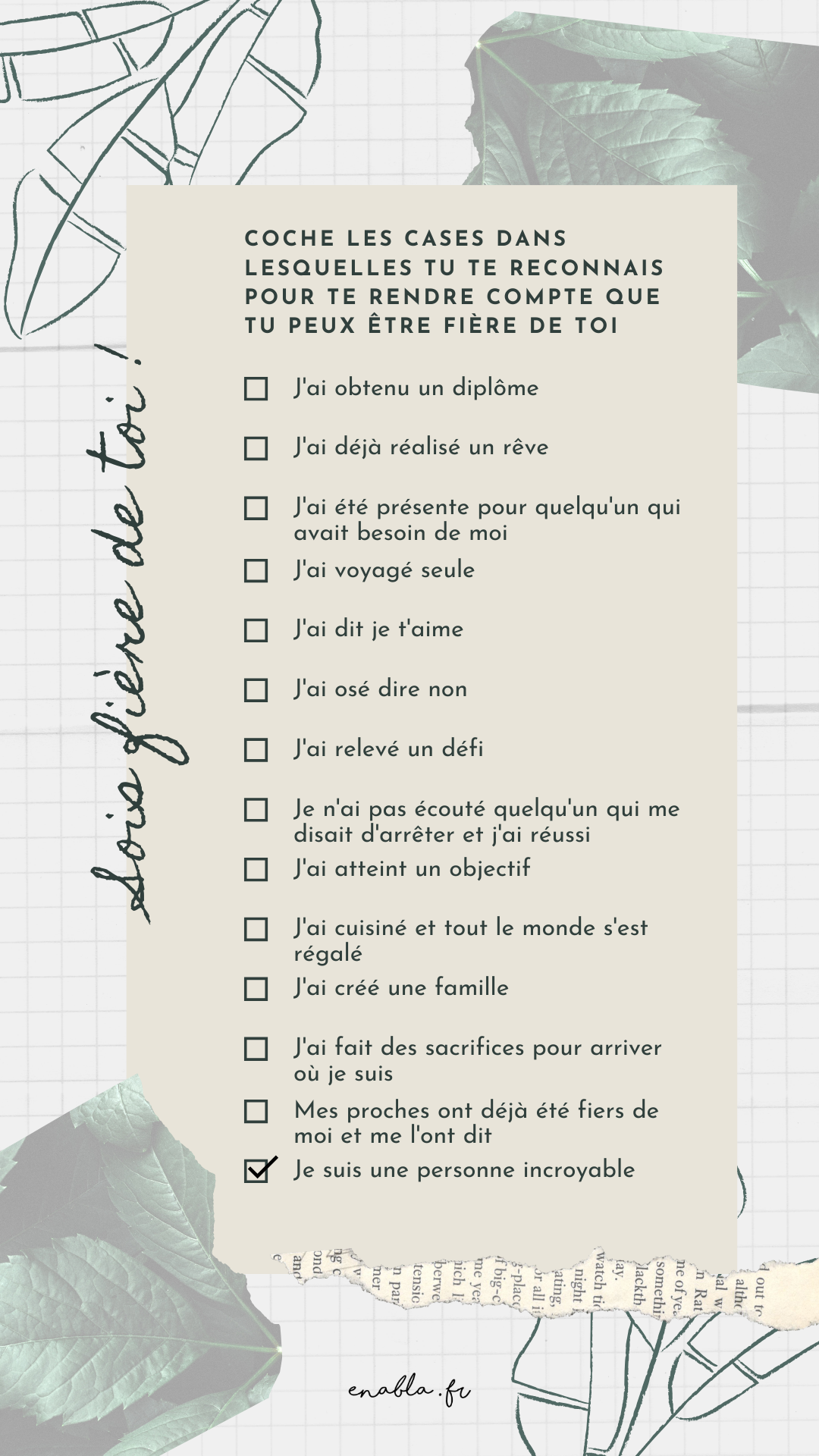 template story fierté